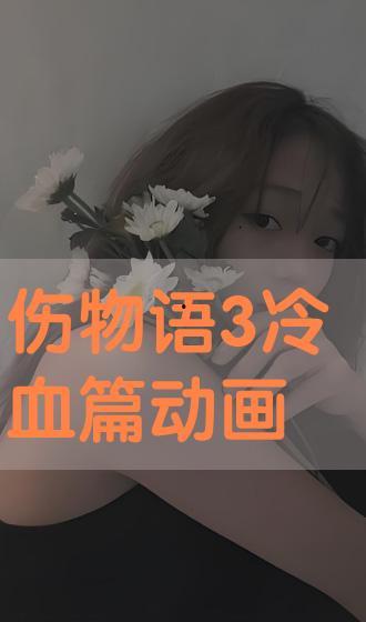 伤物语在线观看,探寻记忆深处的复仇之谜  第2张